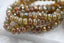 Czech Glass 3x5mm Rondelle Champagne Mix with Picasso Finish 30pc