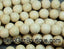 Fossil Beads, 4mm, 6mm, 8mm, 10mm, 12mm Fossil Stone in Natural -15.5 inch strand