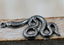 Snake Charm, 2pc 304 Stainless Steel Pendants, Antique Silver, 32x17x2mm