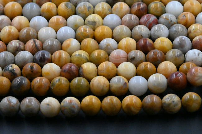 Natural Fossil Jasper 8mm Main Image