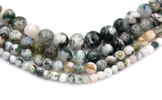 Tree Agate 4mm, 6mm, 8mm, 10mm, 12mm Round Beads -15 inch strand Main Image