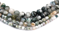 Tree Agate 4mm, 6mm, 8mm, 10mm, 12mm Round Beads -15 inch strand