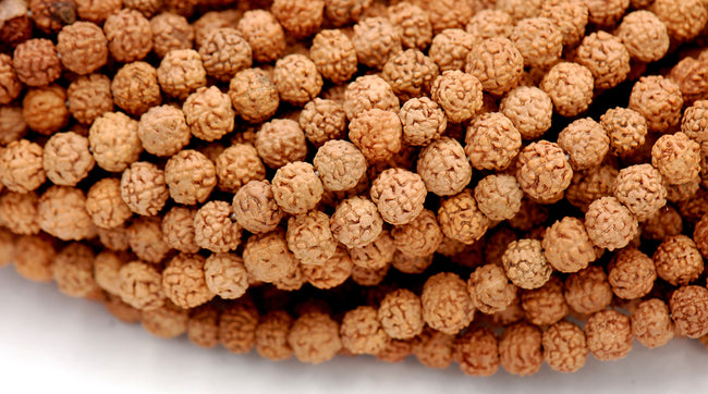 Natural Rudraksha Beads, 4mm, 6mm, 8mm Rudraksha Seed Beads, Mala Beads, Prayer beads -109 beads Hover Image