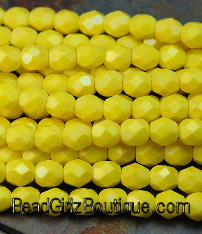 Matte Luster Iris - Custard Czech Glass Faceted Bead 4mm Round - 50 Main Image