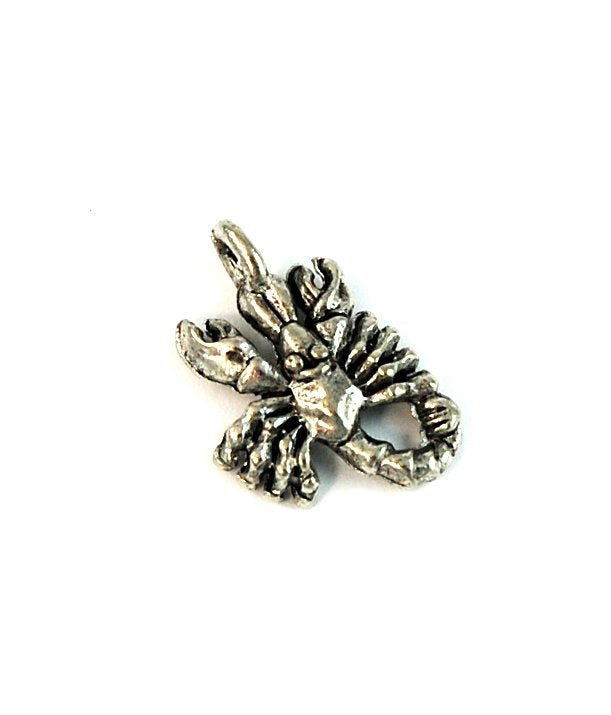 Scorpio Zodiac November Birthday Silver Pewter Charm -1